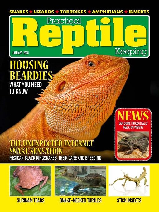 Title details for Practical Reptile Keeping by David Alderton - Available